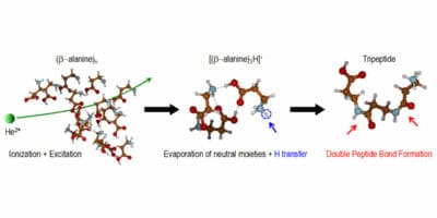 schematic representation of peptide bond formation in ion-cluster collisions