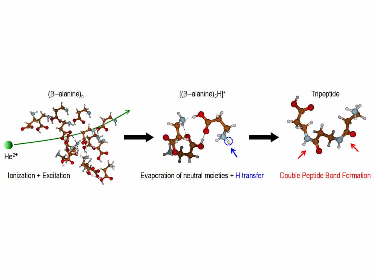 schematic representation of peptide bond formation in ion-cluster collisions